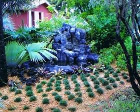 Water Feature Design in Coconut Grove